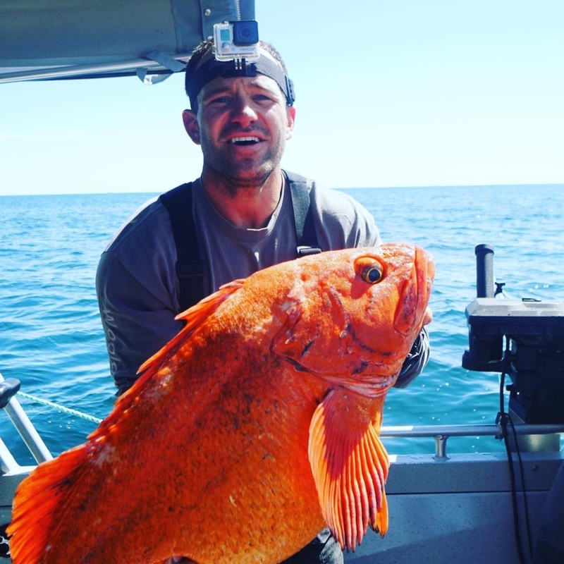 Un pez dorado gigante | Instagram/@koach_kev_kkfit