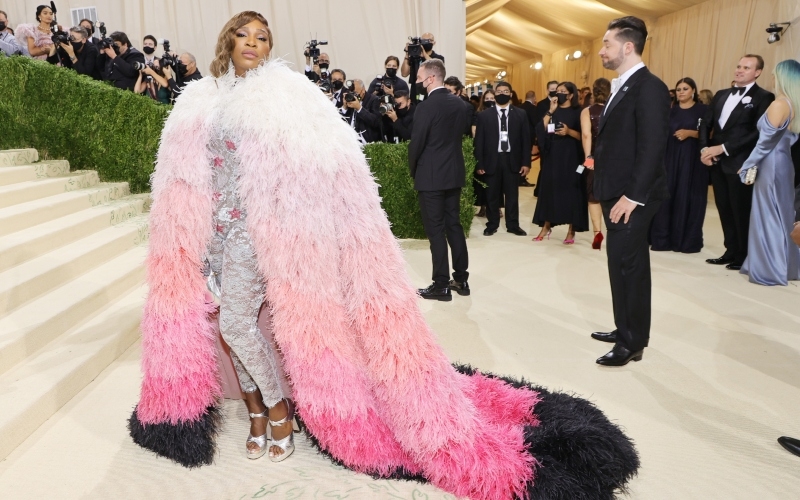 Serena Williams | Getty Images Photo by Mike Coppola