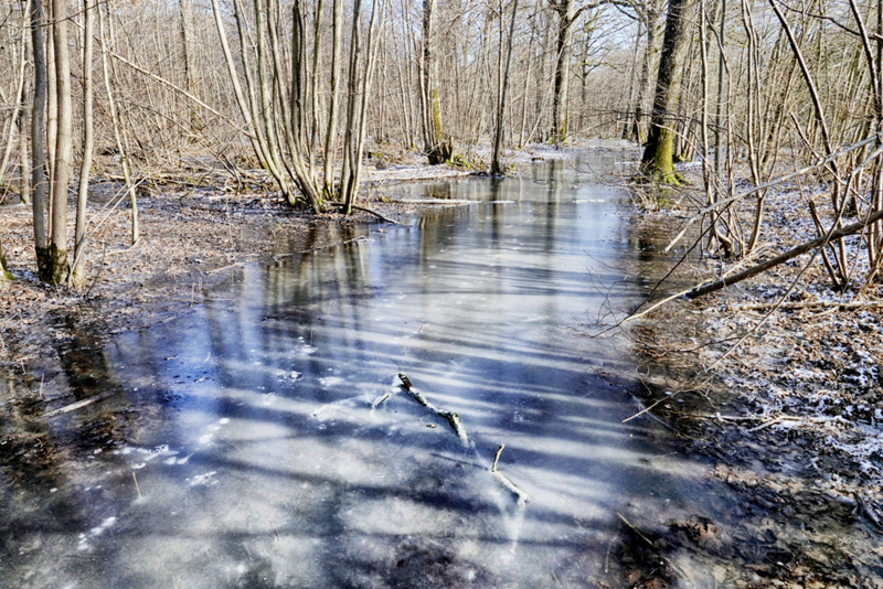 Inundación congelada en el tiempo | Getty Images Photo by Christophe Lehenaff