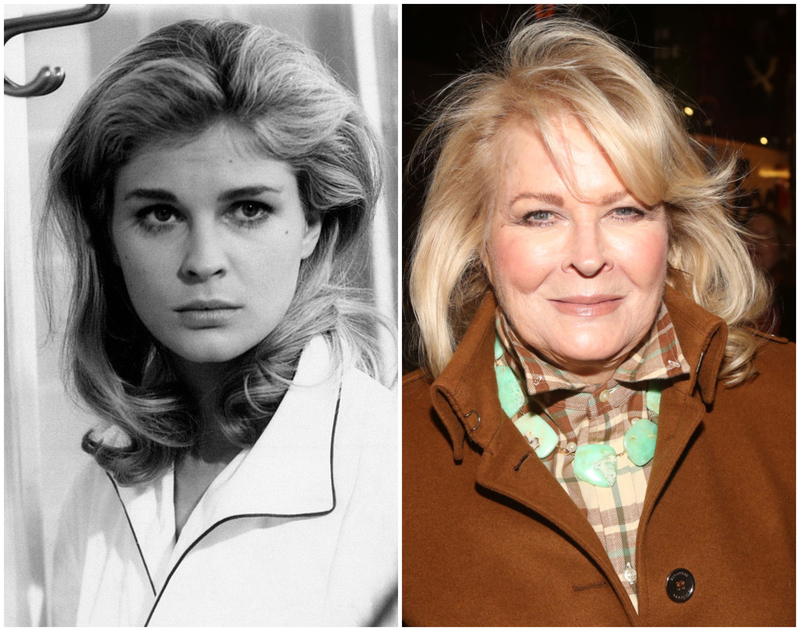 Candice Bergen | Getty Images Photo by Mondadori & Bruce Glikas/WireImage