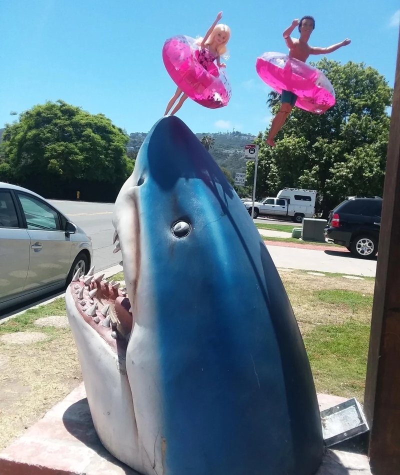 Shark Sighting | Reddit.com/Willywood73