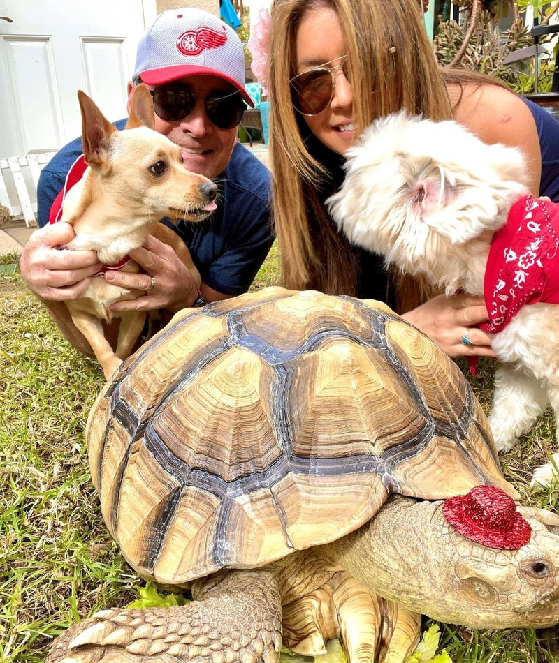 Posing With Pets | Instagram/@tillygthetortoise