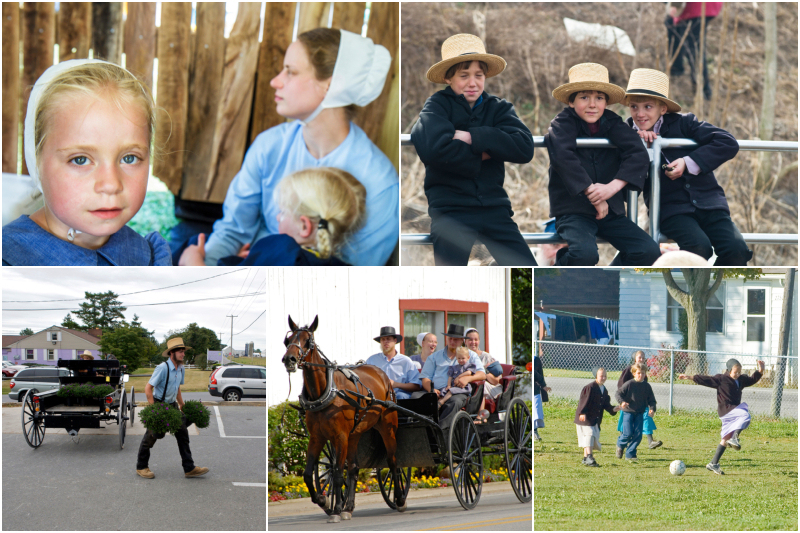 Fascinating Facts You Never Knew About the Amish | Alamy Stock Photo by Jeffrey Isaac Greenberg 4+ & brt PHOTO & Gerrit de Heus & dmac & Dennis MacDonald