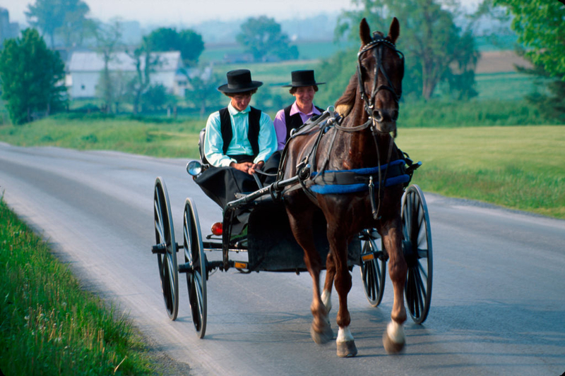 Everyday Life | Getty Images Photo by Jeffrey Greenberg/Universal Images Group