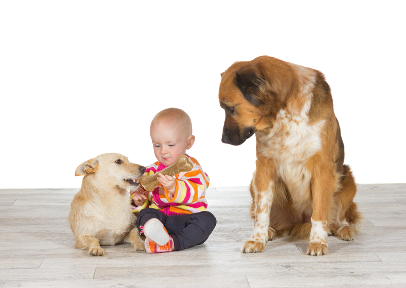 Eu Serei Um Bom Menino | Shutterstock