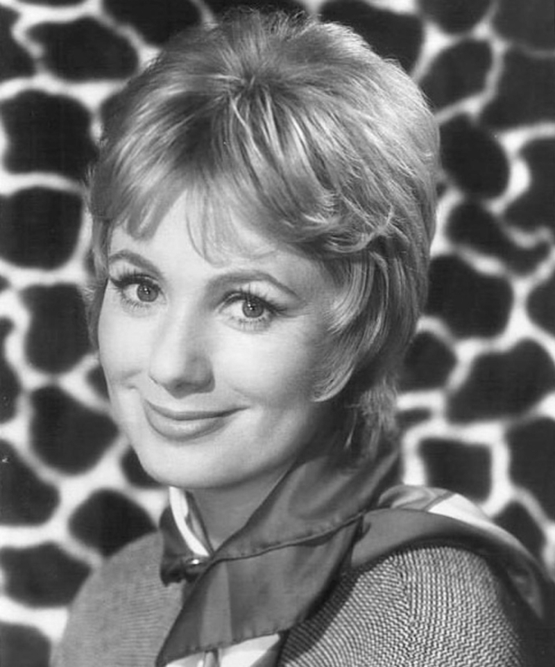 Shirley Jones | Alamy Stock Photo