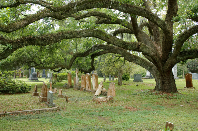 Louisiana: St. Francisville | Getty Images Photo by Roberto Michel