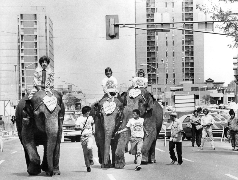 Elephant Race | Getty Images Photo by Dave Buresh/The Denver Post 