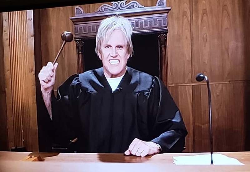 Gary Busey: Pet Judge (So-So) | Instagram/@punkrock_sw