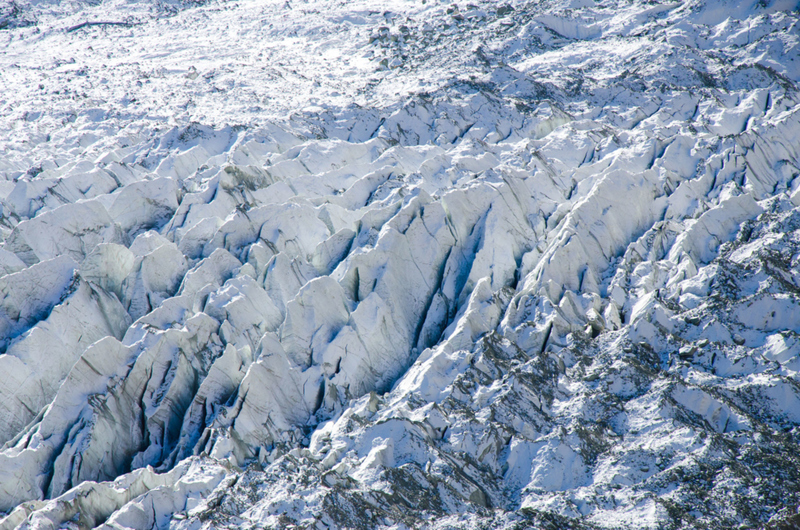 Eine Tonne Heuschrecken | Getty Images Photo by M.Omair