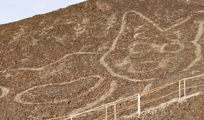 Gato Nazca | Alamy Stock Photo