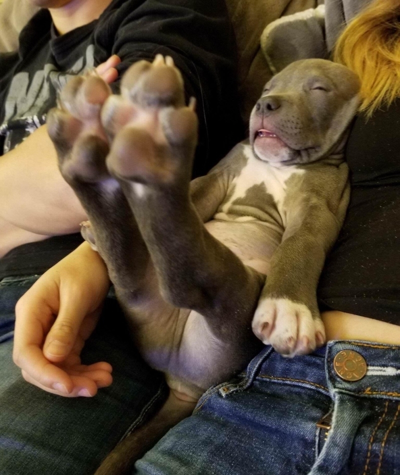 Esas Patitas | Imgur.com/rSEgtQ8