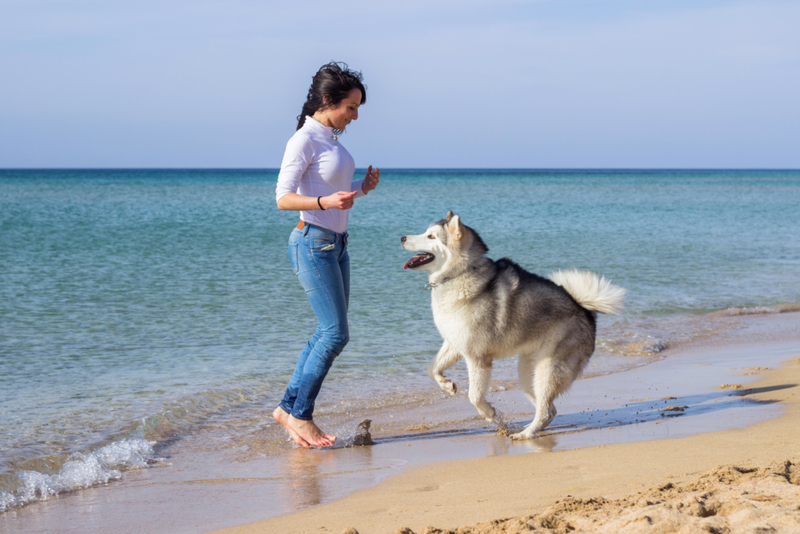 Olímpicos Caninos | Alamy Stock Photo by Neniya Lanti