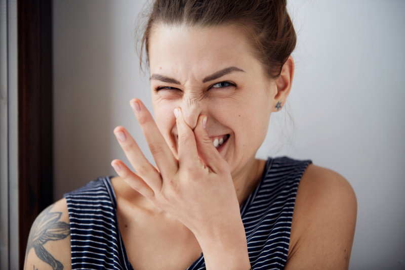 Destroy Skunk Stink | Getty Images Photo by avemario