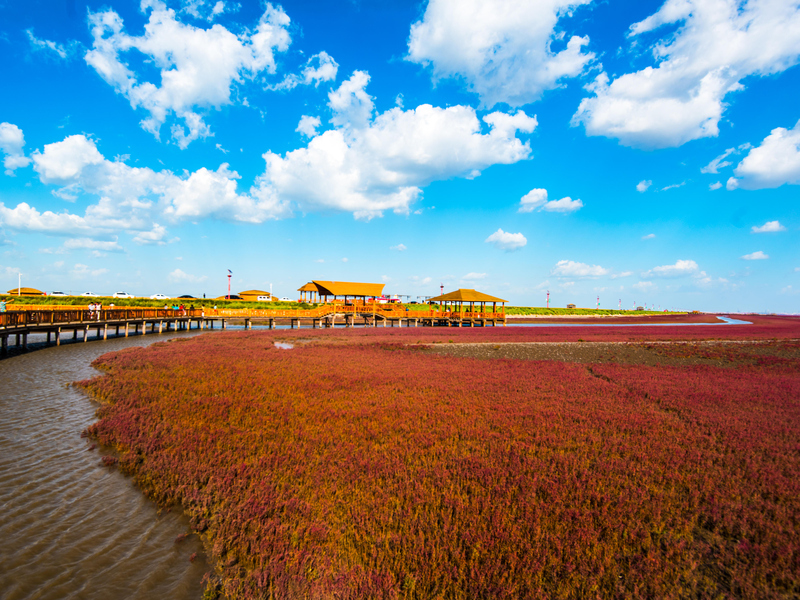 The Crimson Beach | Alamy Stock Photo by Paul Martin