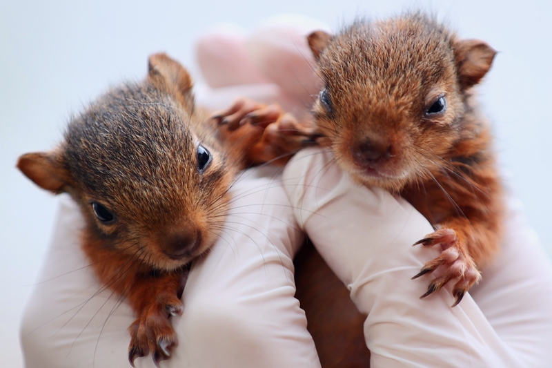 No Worries in The World | Getty Images Photo by Omer Urer