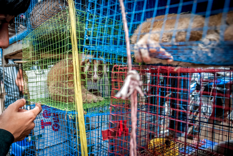 It Was Like Noah's Ark in There | Alamy Stock Photo by REY Pictures