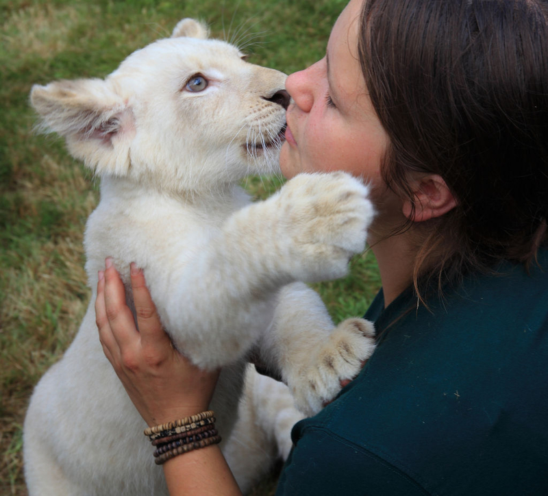 Big Little Kitty Kisses | Getty Images Photo by Jens Wolf/picture alliance 