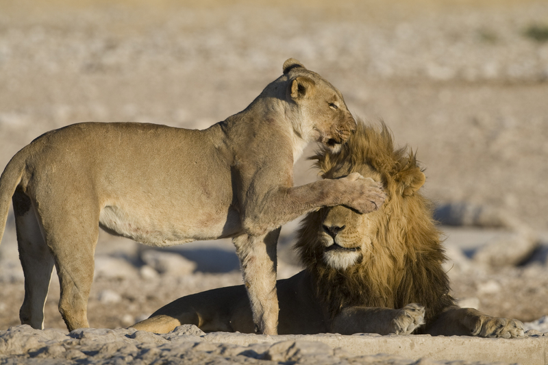 Don’t Look, Hon | Getty Images Photo by halbrindley