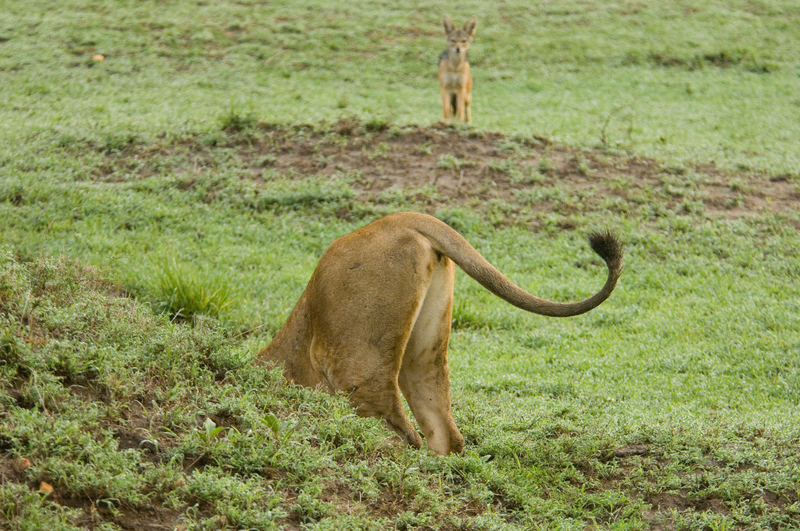 Matt, Is That You? | Alamy Stock Photo