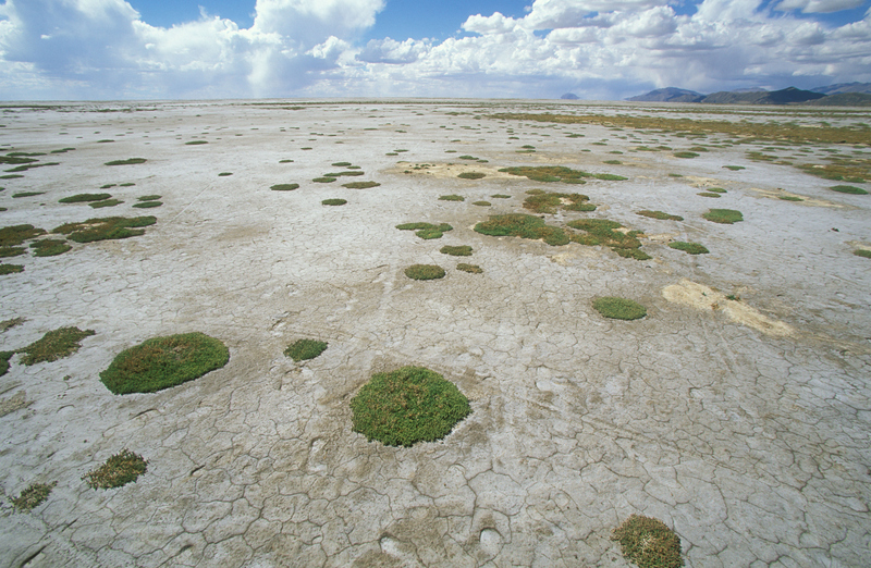 Lago Poopó | Alamy Stock Photo by Anders Ryman