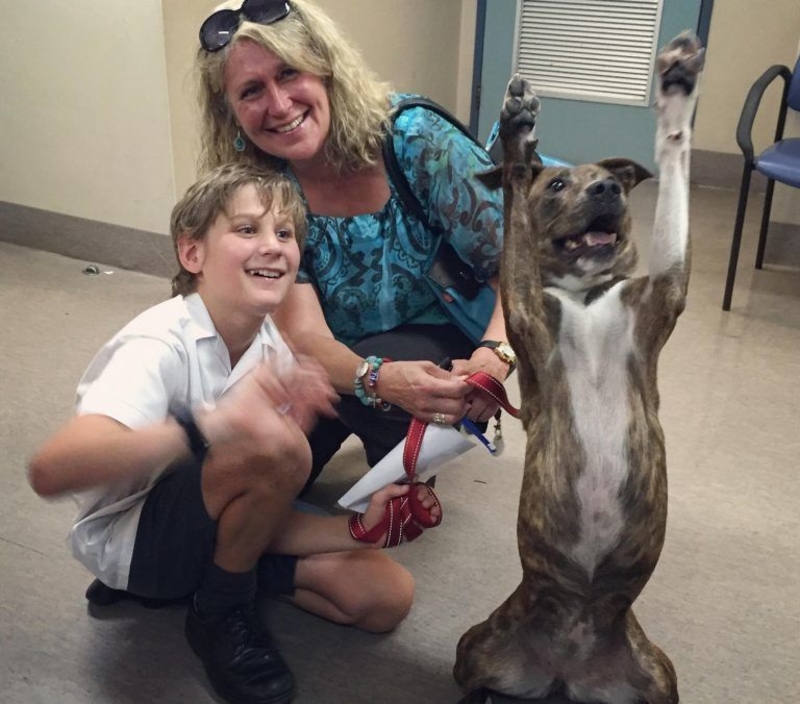 Wave Your Paws in the Air! Like You Just Don’t Care! | Facebook/@lortsmithhospita