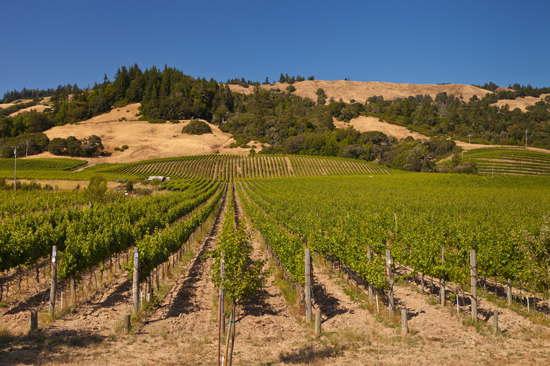 California: Boonville | Alamy Stock Photo by Rob Crandall 